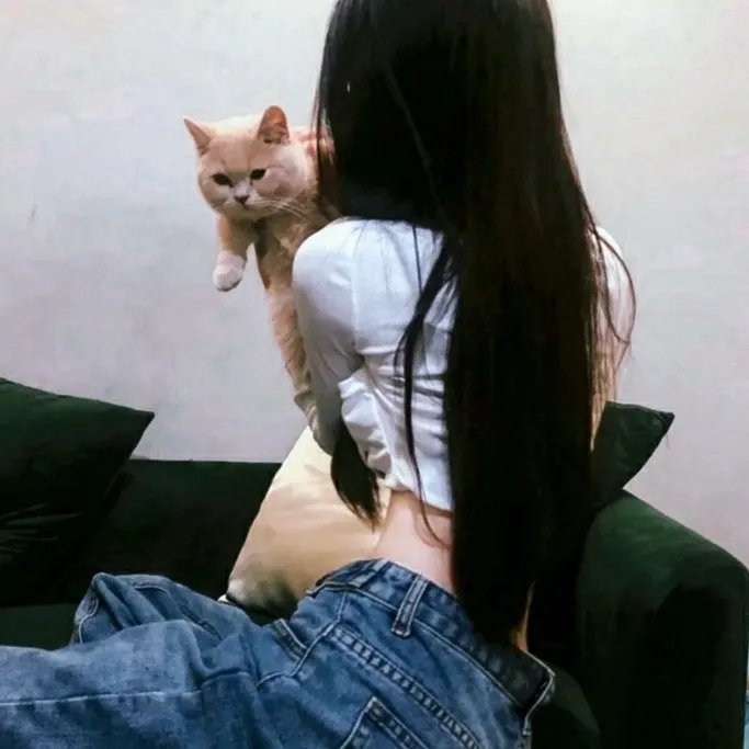 圣兽
